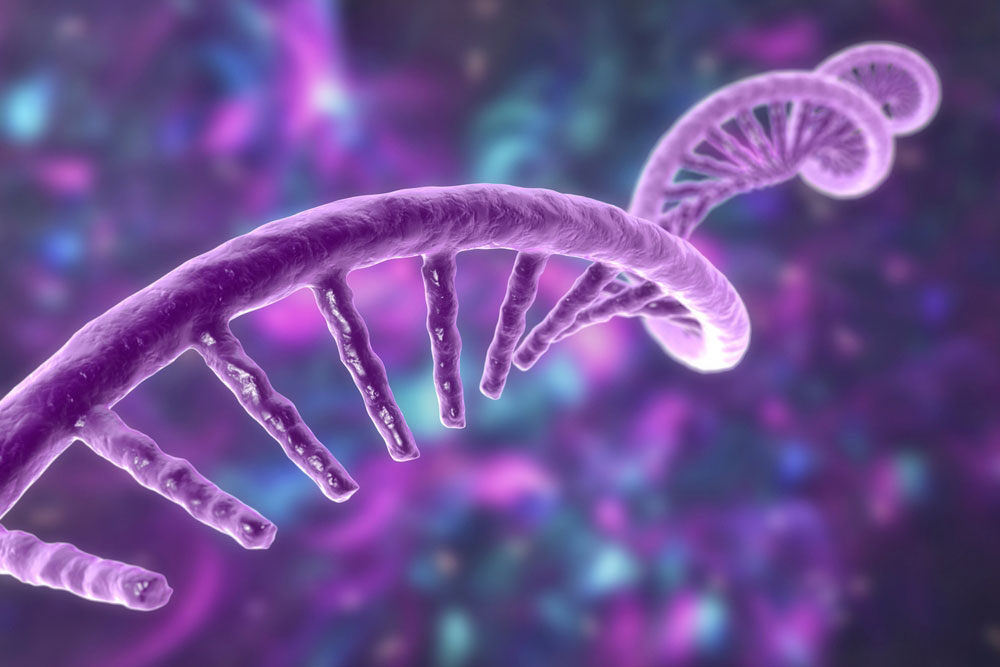 1 dr debbie norval microRNAs