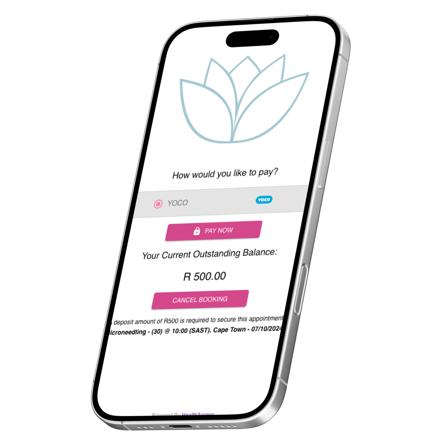 25 health access Payment