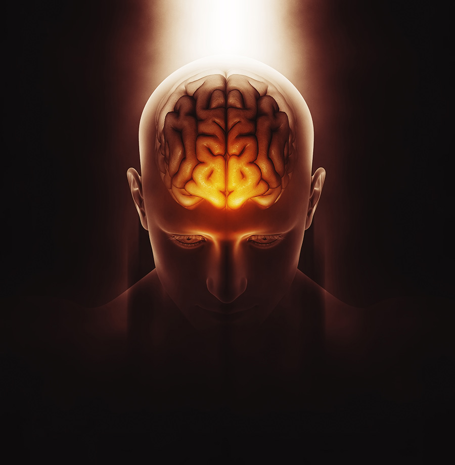 2 neurovita brain health apr 2026