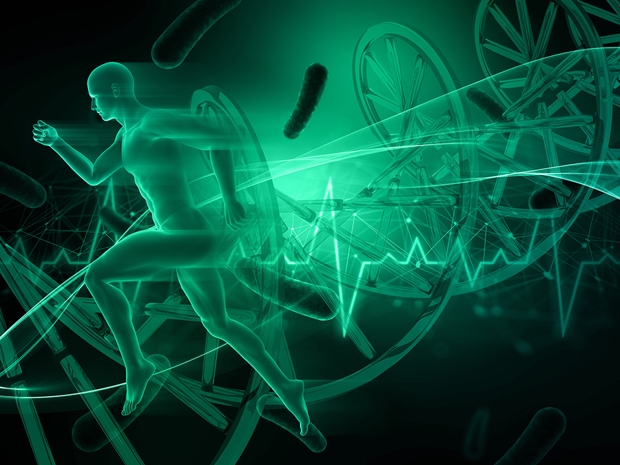 4 biohacking paola jun 2026